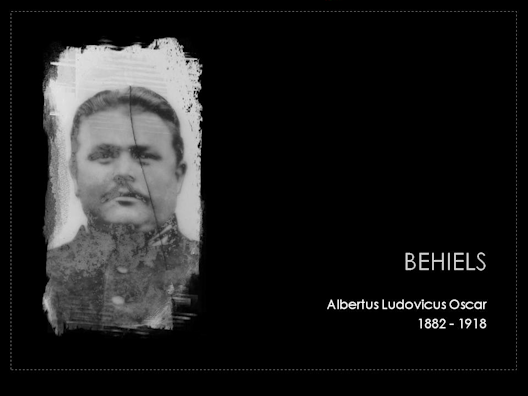 behiels albertus ludovicus 1882-1918