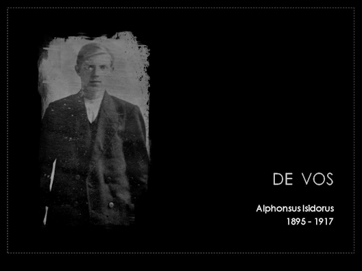 de vos alphonsus isidorus 1895-1917