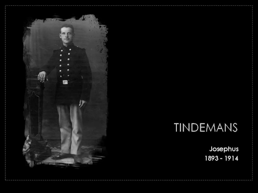 tindemans josephus 1893-1914