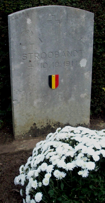 stroobant theo