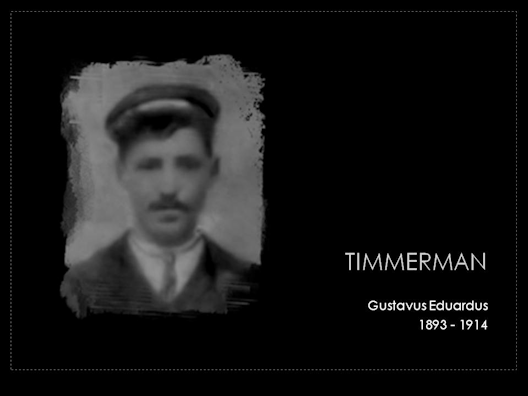 timmerman gustavus eduardus 1893-1914