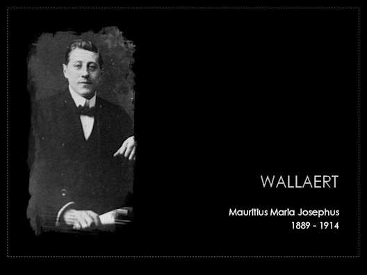 wallaert mauritius maria josephus 1889-1914